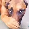 DamianSharp07 - @damiansharp07 - TikTok