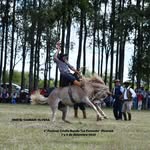 Damian Silvera - @damian_silvera69 - Instagram