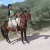 Damian Silvera - @damiansilvera08 - TikTok
