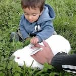 Damian Silvera - @silveralemos - Instagram