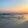 Damian Singleton - @macyfarley181645 - TikTok