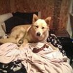 Damian Sky - @see_my_wings - Instagram
