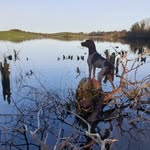 Damian Small - @damiansmall67 - Instagram