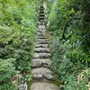 naturelover69 - @damiansmyth25 - TikTok