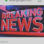 Damian Steele News - @damiansteelebreakingnews - Instagram