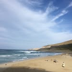 Damian Stein - @damianstein1 - Instagram