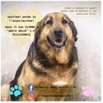 Damian Tate - @damiantate54 - Instagram