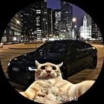 Damian Tinoco - @damiantinoco4 - Instagram