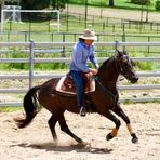 Damian Todd Horsemanship - Facebook