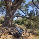 Damian Traversa - @traversadamian - Instagram