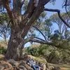 Damian Traversa - @damian.traversa - TikTok