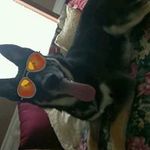 Damian Ulloa - @ulloadamian306 - Instagram