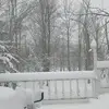 damianwallace37 - @damian.wallace7 - TikTok