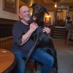 Damian Ward - @damwar66 - Instagram
