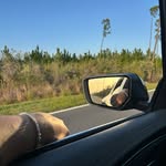 Damian Ward - @damianwardofficial - Instagram