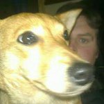 Damian Ward - @damian.ward.374 - Instagram