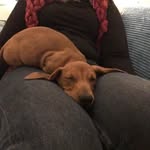 Damian Ward - @damian.ward.1466 - Instagram
