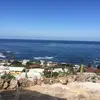 Damien Adams - @ceo12174 - TikTok