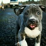 Damien Black - @_damien_black_ - Instagram