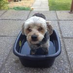 Damien Buckley - @littled_b_ - Instagram