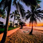 Damien Buckley - @buco_adventures - Instagram