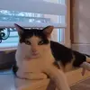 Damien Georges - @damien.georges6 - TikTok