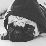 damien gomez - @damiengomez5457 - Instagram