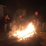 Damien Gordon - @damiengordon10 - Instagram