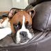 Damien Graham - Facebook