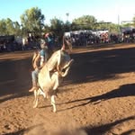 Damien Gray - @damien.gray.370 - Instagram