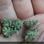 Damien Greene - @countryboy_stonerlife420 - Instagram