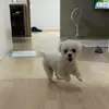 damiengreerfm5021 - @damiengreerfm5021 - TikTok