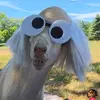 Damien Guyomard - @damien.guyomard4 - TikTok