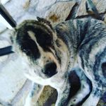 Damien guzman - @da.mien478 - Instagram