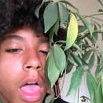 𝑫𝑨𝑴𝑰𝑬𝑵 𝑮𝑼𝒁𝑴𝑨𝑵 - @damienguzmann - Instagram