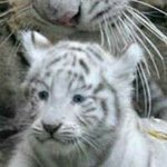 Damien Hammett - @damienhammett - Instagram