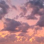 Damien Harmon - Facebook