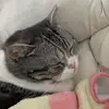 damienharmon55427 - @damienharmon55427 - TikTok