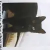 Damien Harper - @mskne.2.00 - TikTok