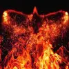 matthew_damien_harper - @matthew_damien_harper - TikTok