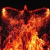Phoenix Rising - @matthew_damien_harper5 - TikTok