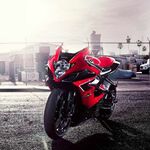 damien heath vollgraaff - @vollgraaff_ - Instagram