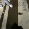 Damien.Herbert - @milletstl3n - TikTok