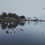 Damien Herrera - @labamba144 - Instagram