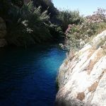 Damien Herrera - @damienherrera1959 - Instagram