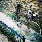 Damien Hess - @damienhess - Instagram
