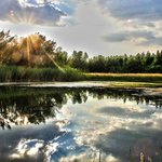 Damien Hicks - @damienhicks - Instagram