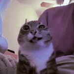 Damien hicks - @damiensbafoonery - Instagram