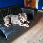 Damien Higgins - @damien.higgins444 - Instagram