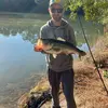 Damien Hill - @pondfinder0 - TikTok